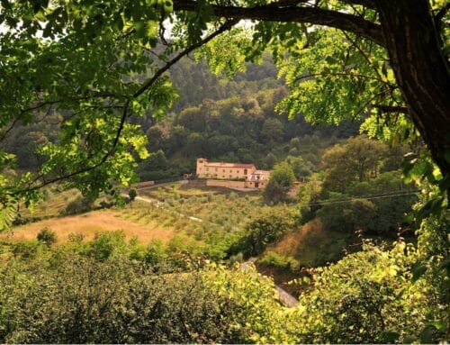 Pareto Principle 80/20 Rule & Personal Development 