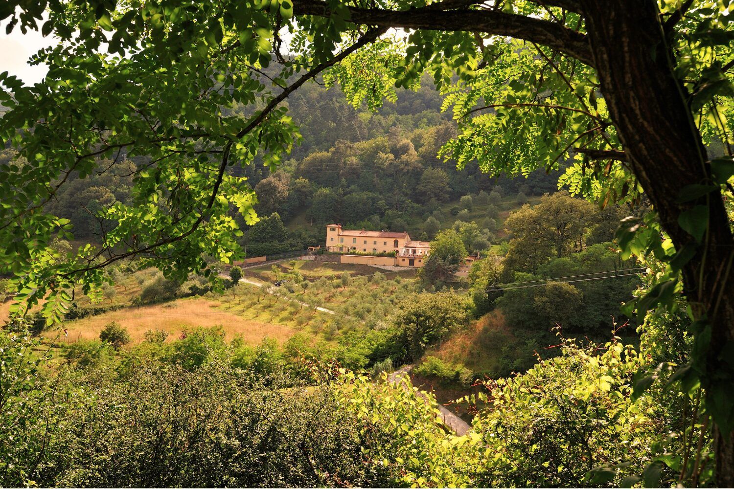 Pareto law, Pareto rule, Time management, personal development